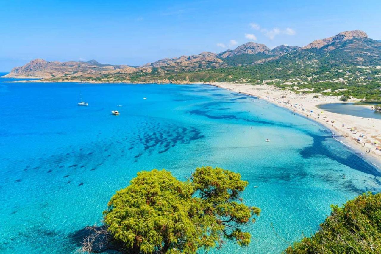Vue * Calvi (Corsica)